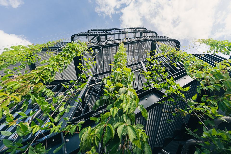 Begrünte Fassade der Hauptverwaltung Vorwerk in Wuppertal, Rankpflanzen am Stahlgerüst